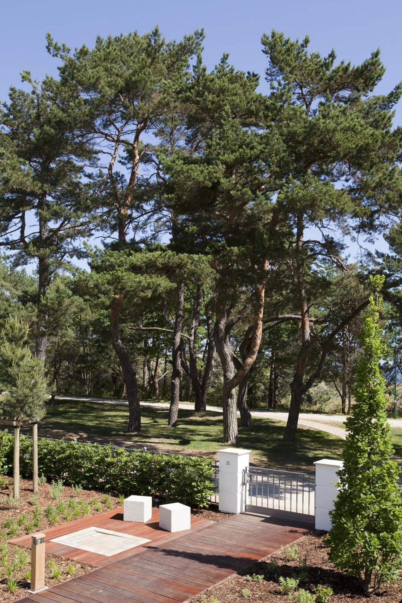 Steigenberger Grandhotel & Spa Heringsdorf Exteriér fotografie Pines in the park